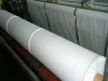 Sulzer Fabric