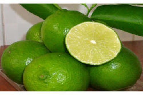 Fresh Seedless Lemon