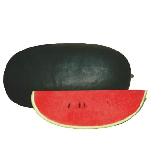 Fresh Watermelon