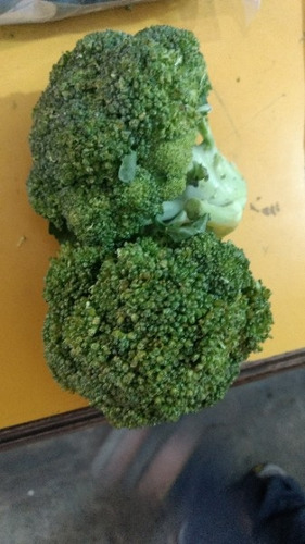 Organic Fresh Broccoli, Packaging Size : 20 Kg