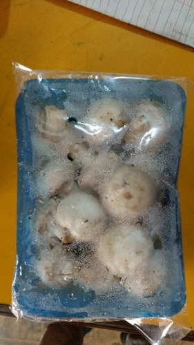Fresh Mushroom, Packaging Type : Bag, Box