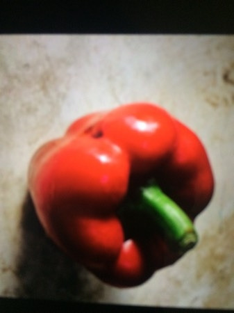 Fresh Red Capsicum, Shelf Life : 3-5days