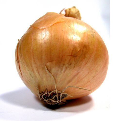 Organic Fresh Onion, Packaging Type : Packed In Jute Sack