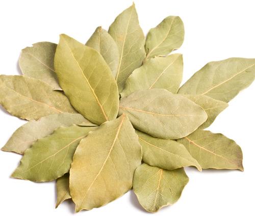 Dried Bay Leaves