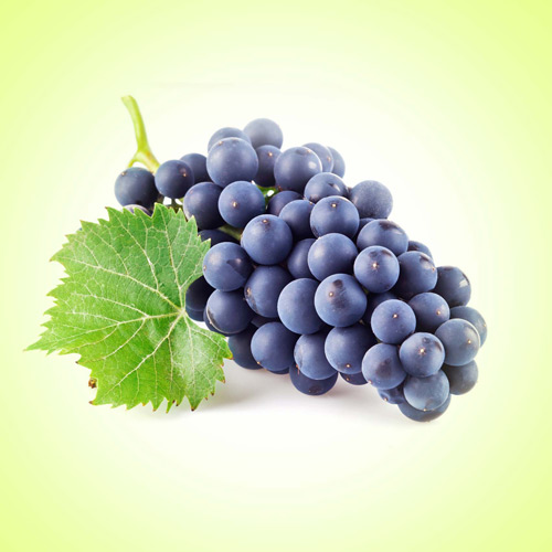 Fresh Black Grapes, Usage/Application : Direct Consumption, Salads, Desserts