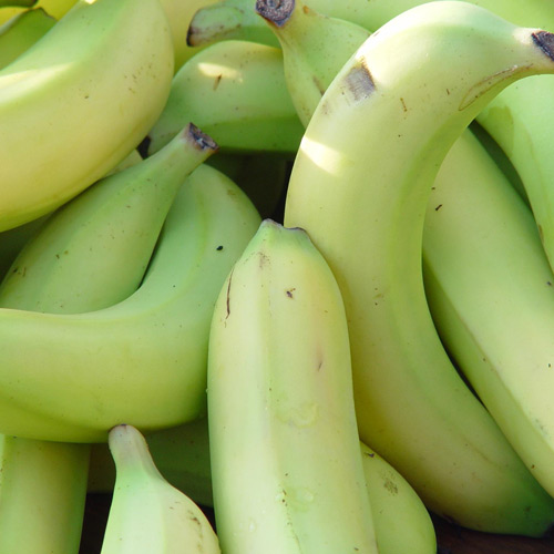 Fresh green banana, Usage/Application : Direct Consumption Or Cooking