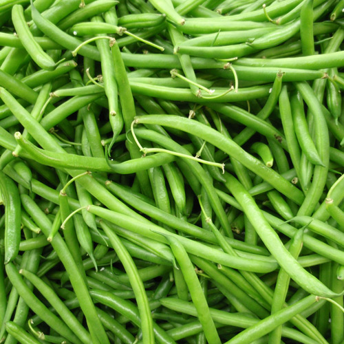 Fresh Green Beans