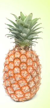 Fresh Pineapple