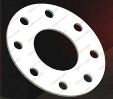 PTFE Gasket