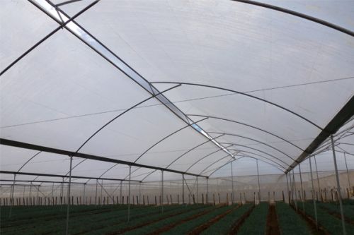 Crop Covers, Width : 8 Meter