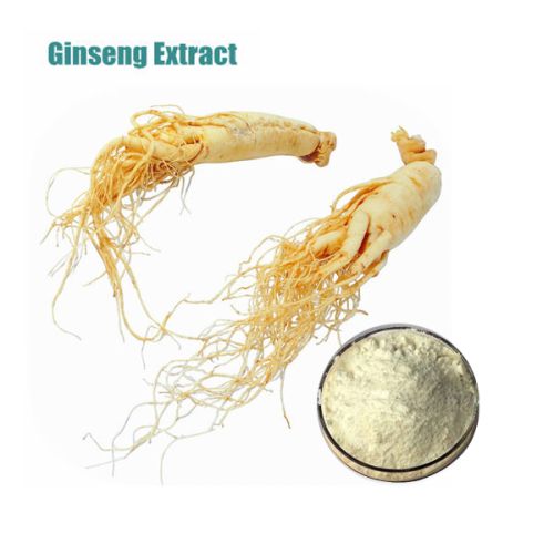 Ginseng Extract