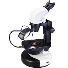 Gemological Microscope