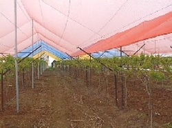 Agro Shade Net