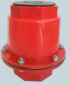 Non return valve, Finishing : Polished