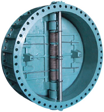 Dual Plate Check Valve