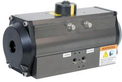 Pneumatic Actuator