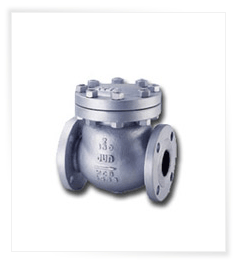 Lift Check Valves