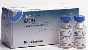 Rabies Vaccine