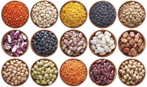 Indain Pulses