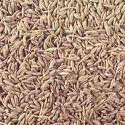 White Cumin Seeds