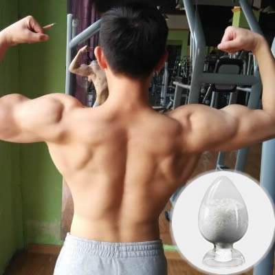 Metandienone Dianabol Steroid For Muscel Building CAS NO.72-63-9 With High Purity