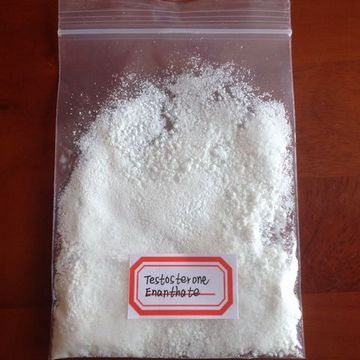 Testosterone Enanthate Anabolic Steroid CAS NO.315-37-7