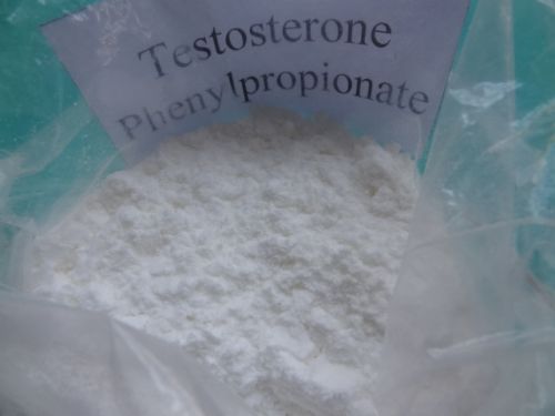 Testosterone Phenylpropionate TPP Steroids
