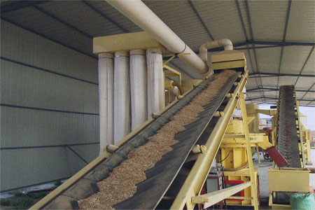 Biomass Pellet Plant, Power : 162 H.P