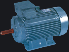 SINGLE PHASE ELECTRONIC MOTOR