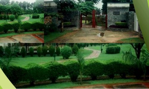 Horticulture Landscape Designing Services