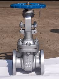 Gate & Globe Valve