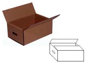 Folding Carton