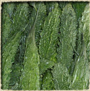 Fresh Bitter Guord / Karela.