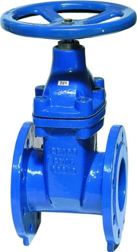 Ductile Iron Valve