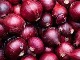 Common Red Onion, For Cooking, Enhance The Flavour, Human Consumption, Size : Large, Medium, Small