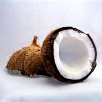 Fresh Coconut