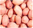 Ground nuts