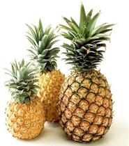 Fresh Pineapple