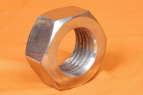 SS Hex Nut