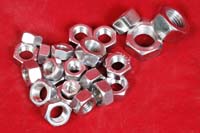 SS Hex Nuts