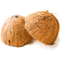Coconut shell