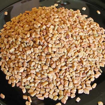 Organic Fenugreek Seeds, Packaging Type : Jute Bags, Plastic Packets