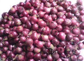 Oval-Round Organic Rose Onion, For Cooking, Enhance The Flavour, Human Consumption