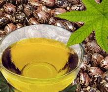 Castor Oil Derivatives