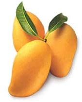 Mango Specialities : Good For Nutritions, Good For Health