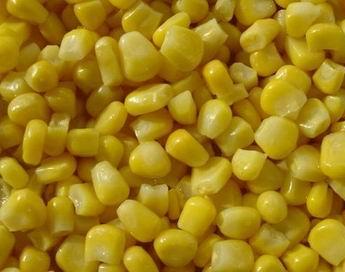 Frozen Sweet Corn, Brand Name : sheng