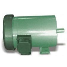 3 Phase AC Induction Motors