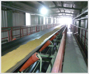 Belt Conveyor