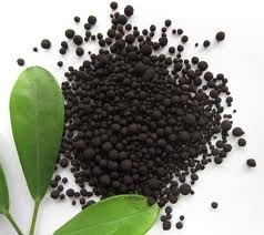 Humic Granules