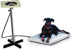 Animal Weighing Scales